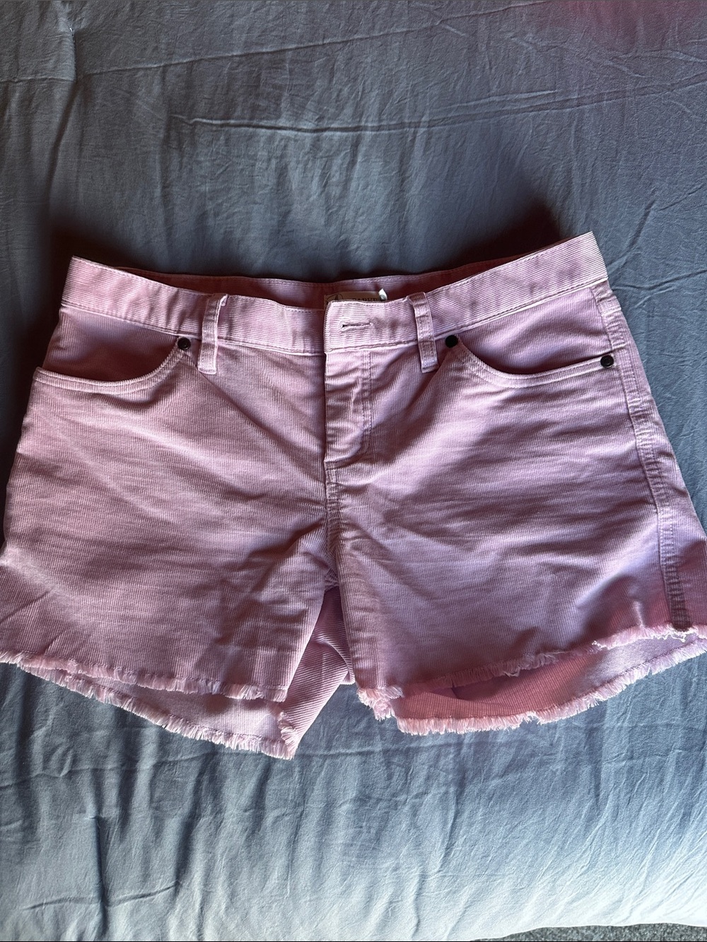 Carve Designs Light Pink Corduroy Cutoff Shorts